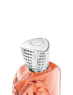Carios EDP 100ml