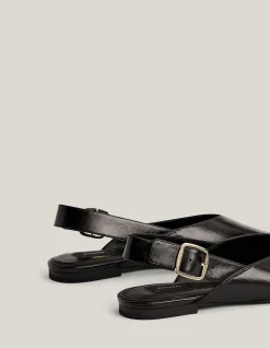Daisy Flats