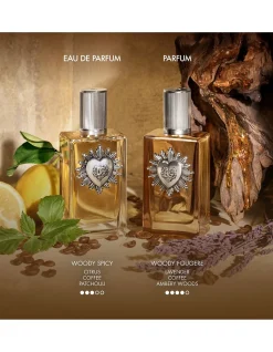 Devotion Pour Homme Parfum 100ml