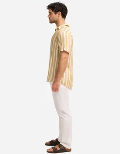 NICK SHIRT
