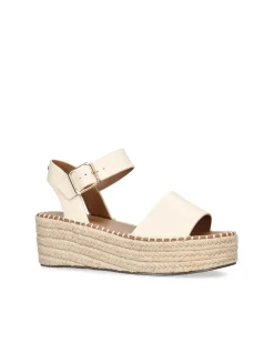 PIA WEDGE