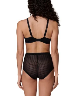 PLUME CONTROL BRIEF