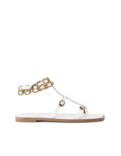 REGENT FLAT GLADIATOR