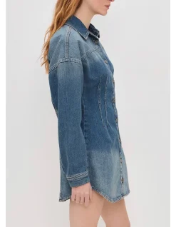 Shaped Denim Dress