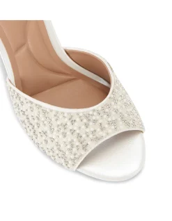 SILVIA MULE
