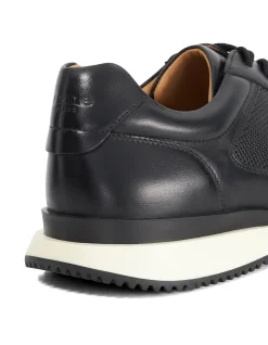 TAZ TRAINER