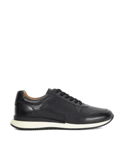 TAZ TRAINER