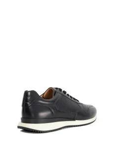 TAZ TRAINER