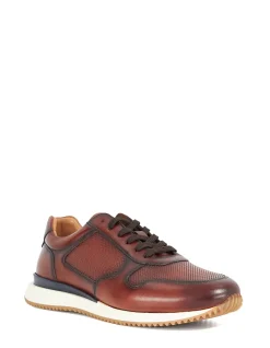 TAZ TRAINER