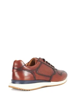 TAZ TRAINER