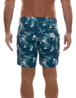 THE ROCKS PUSH SHORT