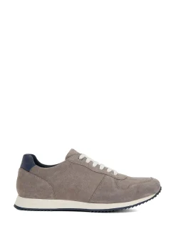 TOULOUS TRAINER