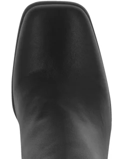 ZANDAR PLUS