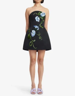 Zaria Applique Floral Bustier Mini Dress