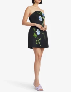 Zaria Applique Floral Bustier Mini Dress