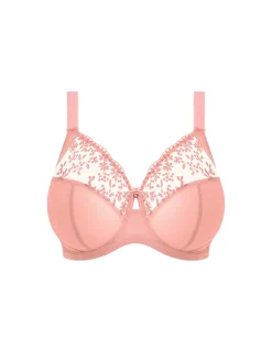 ZARLA UW BRA